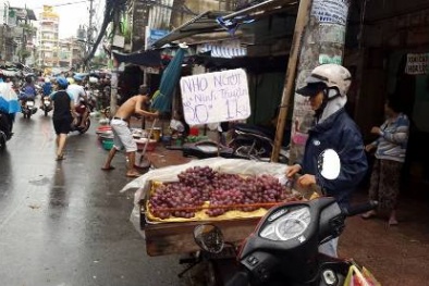 Trái cây giá rẻ tràn ngập Sài Gòn, nhưng vẫn ế hàng