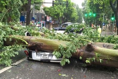Tin mới nhất về bão số 1: Hà Nội cây cối đổ kềnh, người đi đường bị vật ngã