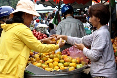 Xoài 'tí hon' có xuất xứ Trung Quốc