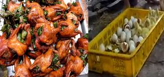 Rùng mình với công nghệ ‘hô biến’ vịt con chết thành chim sẻ thơm ngon