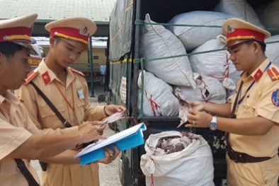 Đọc tin này, bạn sẽ không còn ghét cảnh sát giao thông nữa!