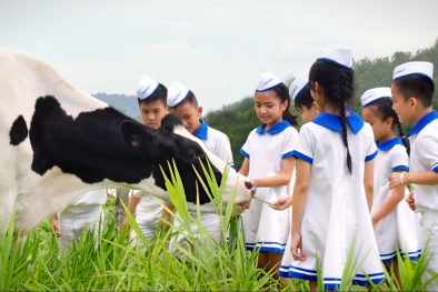 Vinamilk và hành trình 40 năm 'Giấc Mơ Sữa Việt'