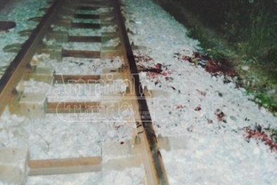 Hà Nội: Tự thuê người chặt chân tay mình để trục lợi bảo hiểm nhân thọ