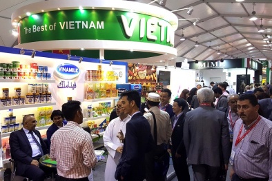 Thương hiệu sữa Việt 40 năm với kỳ tích xuất khẩu đi 43 nước trên thế giới