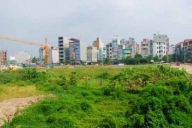 Tăng cường xử lý vi phạm về quản lý, sử dụng đất