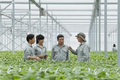 Vingroup bắt tay 1.000 HTX, hộ nông dân cung ứng nông sản sạch