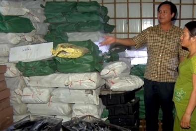 Tiêu hủy 70 tấn cá tại các kho đông lạnh ở Quảng Trị