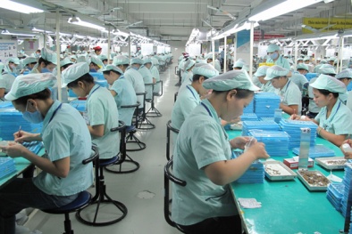 Nghệ An kiến nghị tham gia chương trình năng suất chất lượng