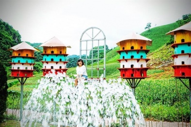 Du lịch Mộc Châu, đừng bỏ lỡ khu vui chơi HappyLand