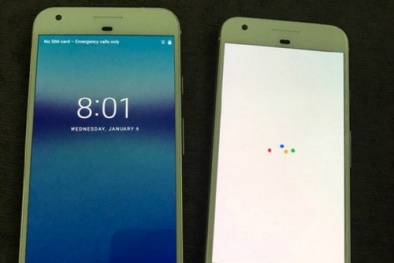 Hình ảnh mới nhất cho thấy điện thoại Pixel của Google giống iPhone 7