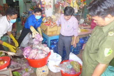 Bình Phước: Tiêu hủy gần 2.000 kg thịt thối