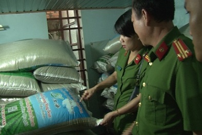 Huế: Phát hiện cơ sở sản xuất giá đỗ ngâm bằng hóa chất