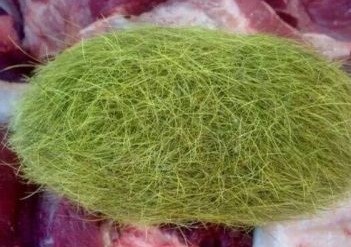 Đại gia Trung Quốc lùng mua cát lợn giá 36 triệu đồng mỗi gram