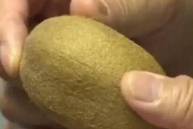 Quả Kiwi: Sự thật loại quả 'trường thọ' 138 ngày vẫn tươi rói