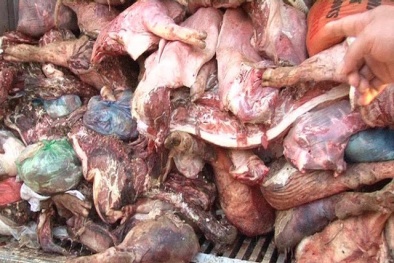 Bản tin tiêu dùng ngày 14/10: 10 tấn thịt lợn ốm chết bốc mùi ‘suýt’ ra thị trường