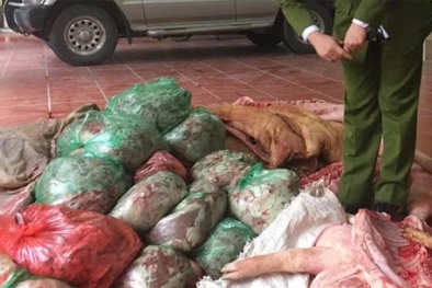 Bản tin cảnh báo nổi bật nhất ngày 15/10: Thực phẩm bẩn ở TP HCM quản không xuể!