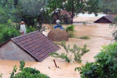 Tân Hiệp Phát ủng hộ 200 triệu đồng cho nhân dân vùng lũ miền Trung