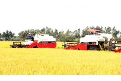 Khoa học và công nghệ kỳ vọng tạo lợi thế cạnh tranh, 'cứu' sản xuất lúa gạo