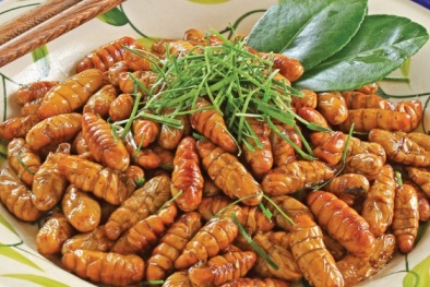 Cảnh báo an toàn sức khỏe cần tránh khi ăn nhộng tằm