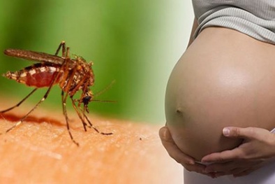 Bộ Y tế khuyến cáo khẩn khi có thêm bệnh nhân nhập viện vì virus Zika