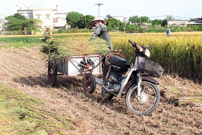 Bão số 7: Chủ động ứng phó để giảm thiệt hại về người và tài sản