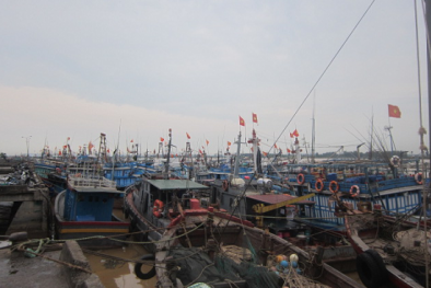 Bão số 7: 7.000 tàu thuyền ở Thanh Hóa vào nơi trú ẩn an toàn