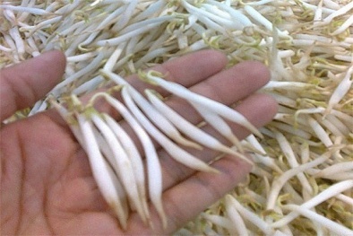 Phát hiện cơ sở sản xuất giá đỗ dùng hóa chất lạ