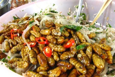 Tin cảnh báo nổi bật ngày 21/10: Cẩn thận nhộng tằm không rõ nguồn gốc