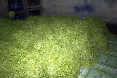 Chủ xưởng chế biến rau muống bằng hóa chất bị phạt gần 40 triệu đồng