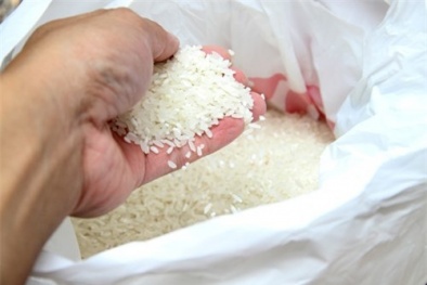 Tràn lan gạo tẩm hương liệu tạo mùi thơm