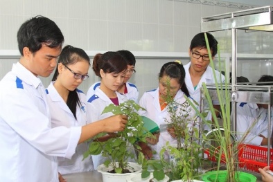 Đẩy mạnh phát triển, ứng dụng công nghệ sinh học