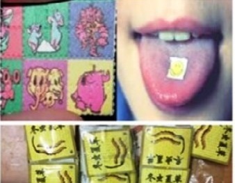 Quảng Ninh: Vận chuyển ma túy qua biên giới dịp cuối năm diễn biến phức tạp
