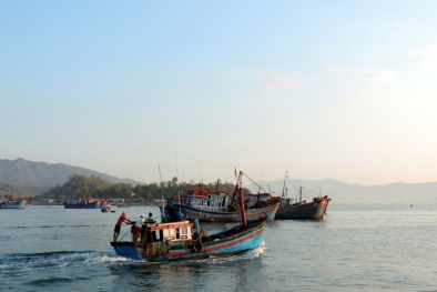 Bình Định: Cứ nạn thành công 8 ngư dân bị chìm tàu ngoài khơi