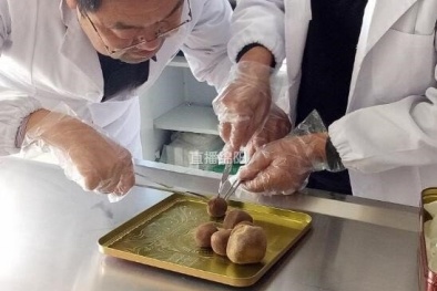 Sửng sốt phát hiện vật lạ trong bụng vật nuôi được định giá chục tỷ đồng