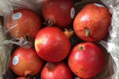 Quả lựu khổng lồ khiến chị em xôn xao, lên cơn thèm