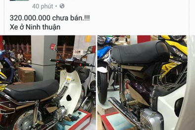 Chiếc Honda Dream II được trả giá 320 triệu không bán ở Ninh Thuận