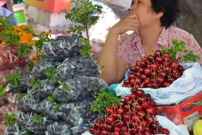 Cẩn trọng với hoa quả nhập khẩu bằng đường 'xách tay'