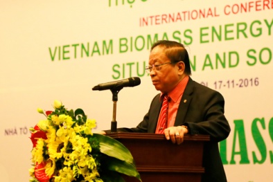 Khai thác năng lượng sinh khối ở Việt Nam chưa xứng với tiềm năng