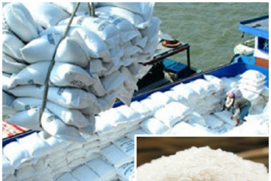 Cần hướng đi mới cho phát triển thương hiệu gạo quốc gia