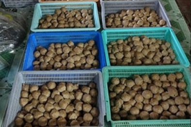 Biến thịt thối thành bò viên, một cơ sở sản xuất bị phạt 40 triệu