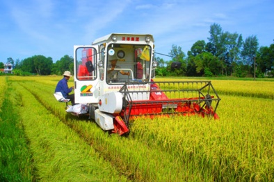 Nâng cao năng suất lúa nhờ áp dụng đồng bộ cơ giới hóa