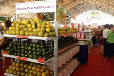 Đặc sản sạch có truy suất nguồn gốc rõ ràng đổ về Tp. HCM