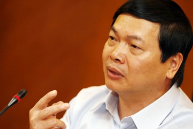 Nhiều cơ quan vẫn đang tiếp tục làm rõ, xử lí vụ việc ông Vũ Huy Hoàng