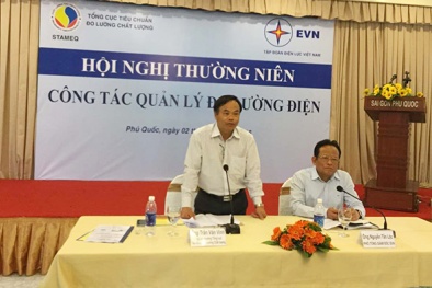 Hội nghị thường niên công tác quản lý đo lường điện của EVN