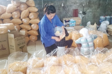 Tạm giữ lô nguyên liệu và chất phụ gia của Công ty Aluowa