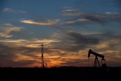 Giá dầu cán mốc cao nhất sau hiệp ước đóng băng của OPEC