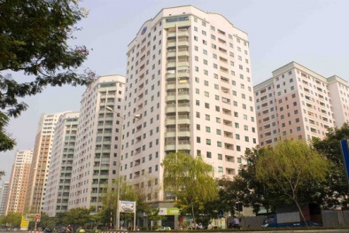 Đại gia xây loạt nhà giá rẻ 600 triệu, dân văn phòng hứng khởi