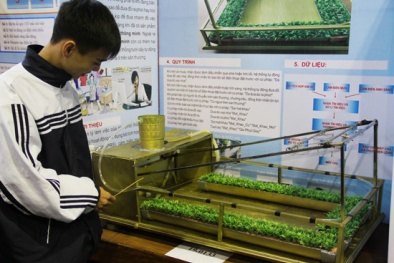 Học sinh Việt Nam xếp thứ 8 về Khoa học trên toàn cầu