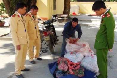Thanh Hóa: Bắt giữ số lượng lớn nội tạng động vật, lòng bò không rõ nguồn gốc