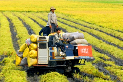 Dự kiến Thủ tướng sẽ chủ trì Hội nghị 'Xây dựng nền công nghiệp nông nghiệp Việt Nam'